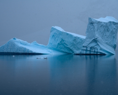 iceberg 1