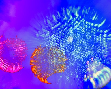 Colorful like Fireworks