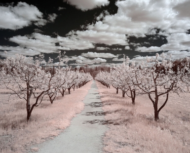 The Aranjuez Journey