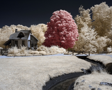 The House of Meditation 