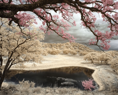 The Hidden Santa Ysabel