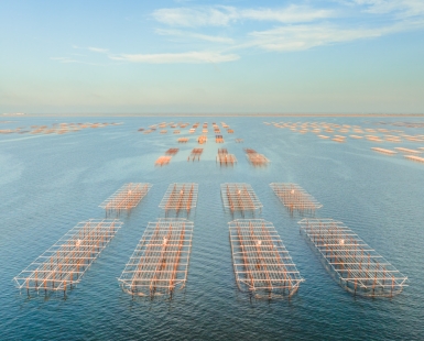 An evening on Thau IV