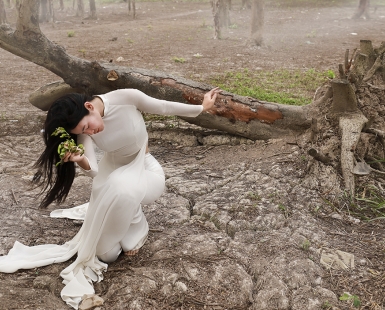 Afforestation against natural disasters