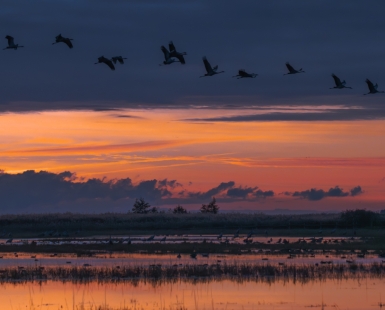 Sunrise over the salt pan