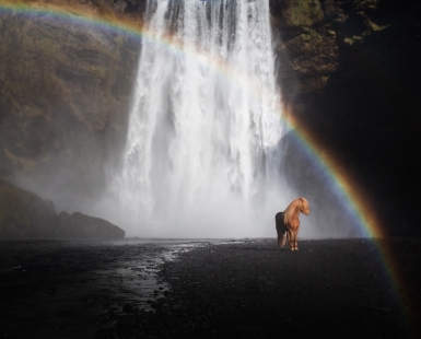 Treasure under the rainbow