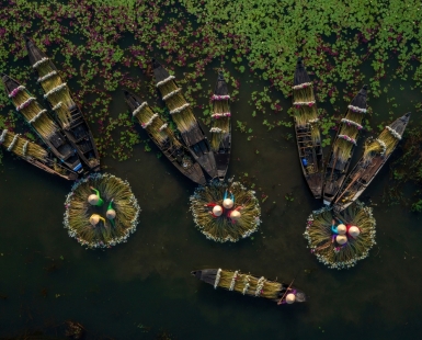 Collecting Waterlilies