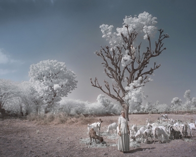 India - Memories of what i have never seen