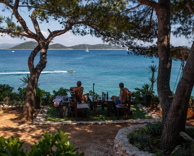 Life under the pines trees