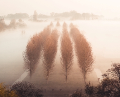 A morning to remember