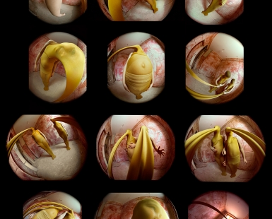 The Beginning of You