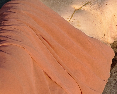 KINTSUGI, MEMORY ON THE SKIN