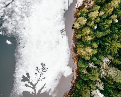 Les esquisses de dame nature