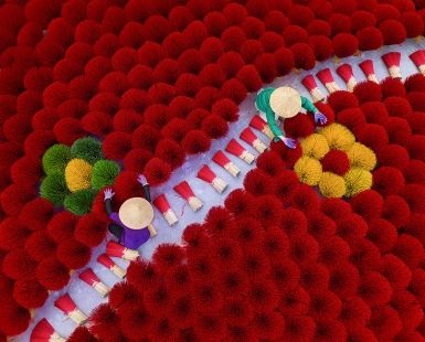 Incense Craft Village's Flowers